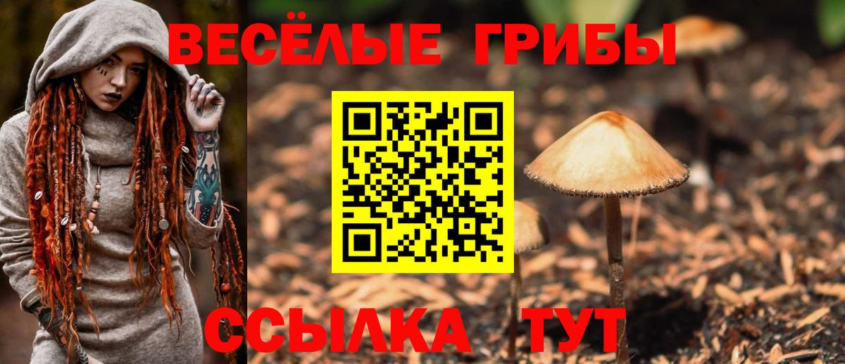 Миллерово  Псилоцибиновые грибы Psilocybe  Вход с VPN 